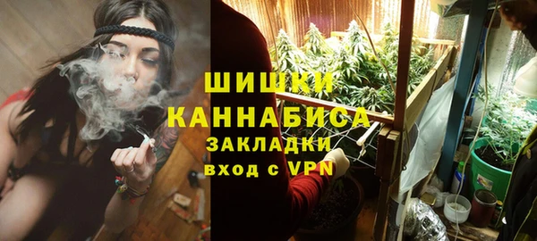 молекула духа Балахна