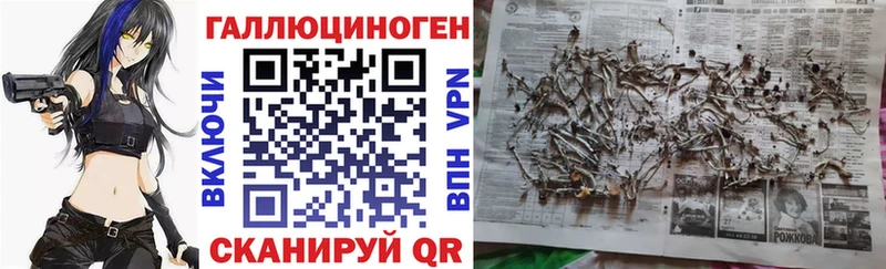 Галлюциногенные грибы Psilocybine cubensis  Купить  Вязьма 